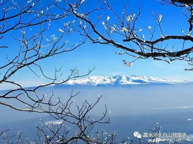 玉溪华宁繁花满城